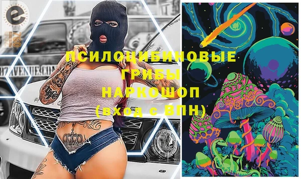 тгк Осинники