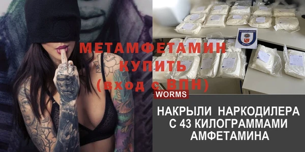 ГАЛЛЮЦИНОГЕННЫЕ ГРИБЫ Переславль-Залесский