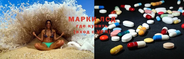 ГАЛЛЮЦИНОГЕННЫЕ ГРИБЫ Переславль-Залесский