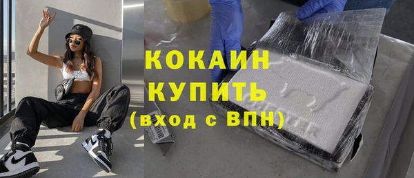 хмурый Пестово